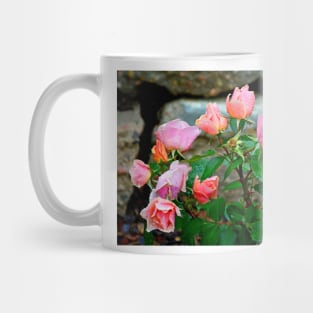 Corals and Pinks Mug